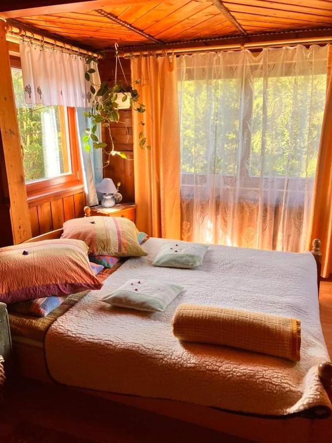 Chalupa Na Wierchu Zakopane Kültér fotó